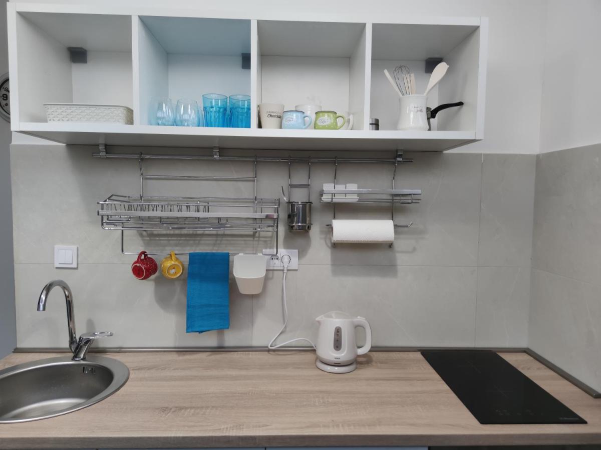 Blue Apartment Riverside 波德戈里察 外观 照片